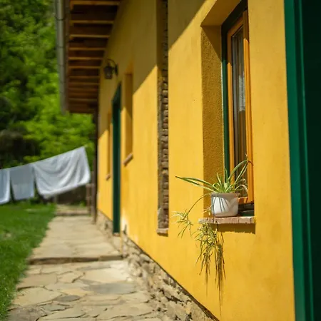 Ani Richis Homestay Richisu